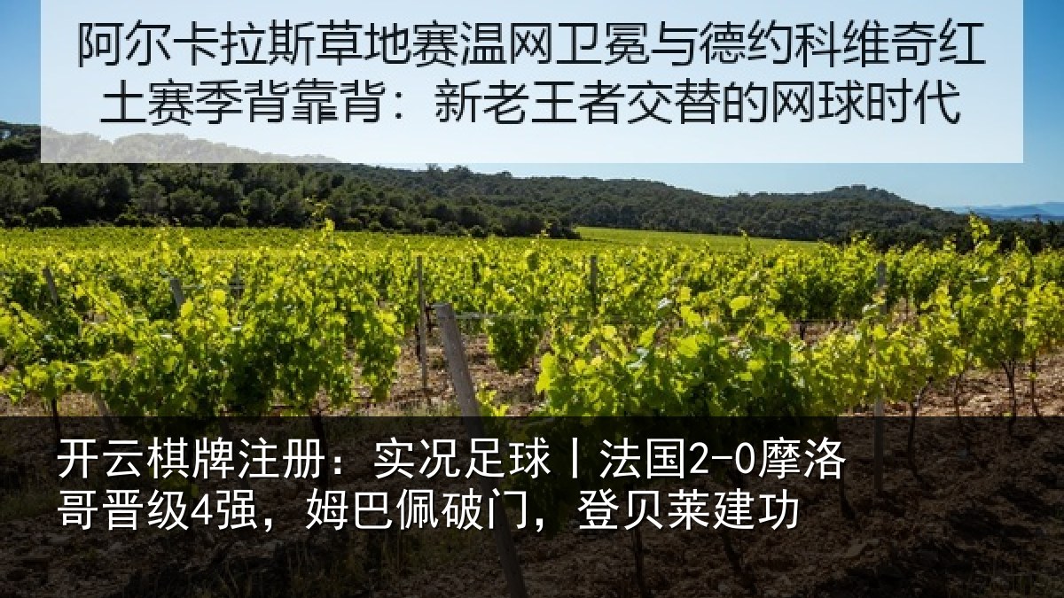 开云棋牌注册：实况相关情况晋级相关情况莱建功