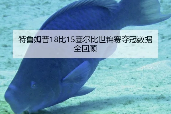 特鲁姆普18比15塞尔比世锦赛夺冠数据全回顾