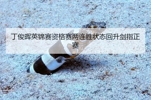ding-jun-hui-ying-jin-sai-zi-ge-sai-liang-lian-sheng-zhuang-tai-hui-sheng-jian-zhi-zheng-sai-3-244.jpg