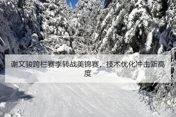 xie-wen-jun-kua-lan-sai-ji-zhuan-zhan-mei-jin-sai-ji-shu-you-hua-chong-ji-xin-gao-du-2-642.jpg