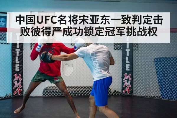 中国UFC名将宋亚东一致判定击败彼得严成功锁定冠军挑战权