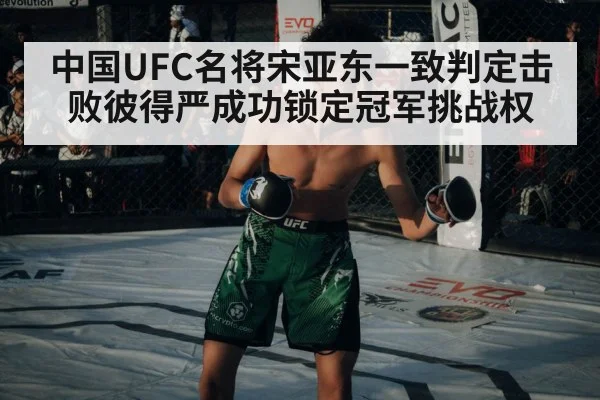 UFC championship belt