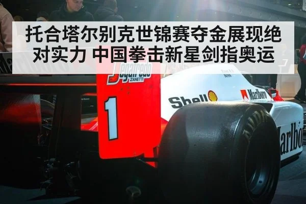 托合塔尔别克世锦赛夺金展现绝对实力 中国拳击新星剑指奥运
