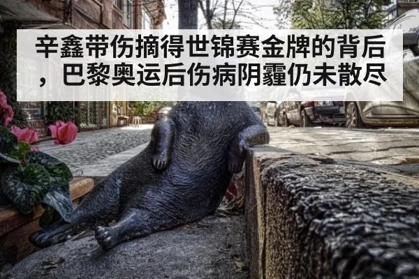 辛鑫带伤摘得世锦赛金牌的背后，巴黎奥运后伤病阴霾仍未散尽